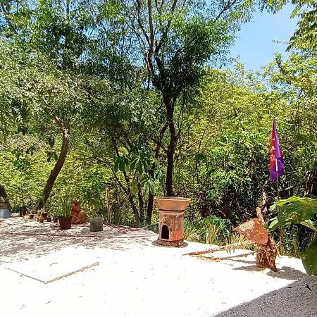 Villa Laurel Jungle & Ocean Playa Santa Teresa  Exterior foto