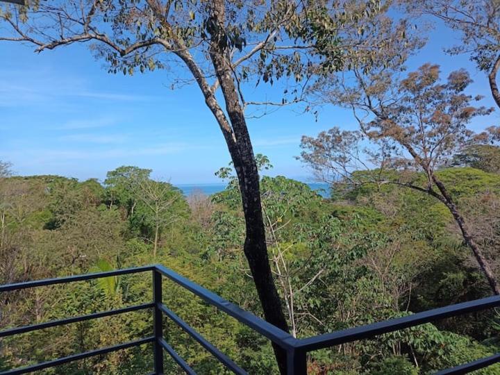 Villa Laurel Jungle & Ocean Playa Santa Teresa  Exterior foto