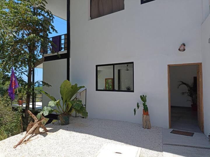 Villa Laurel Jungle & Ocean Playa Santa Teresa  Exterior foto